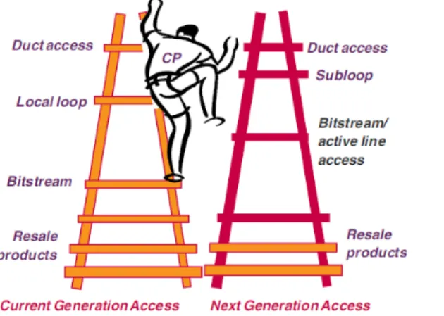 Figure 1. Martin Cave’s investment ladder(s) 