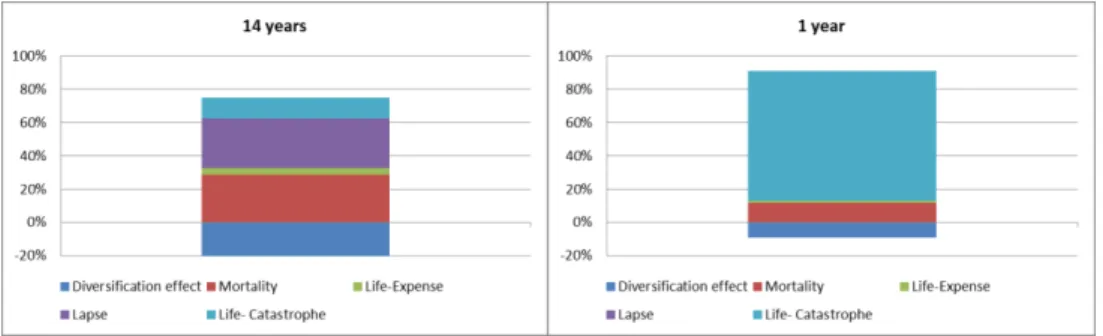 Figure 7: SCR Life composition for annual renewable term contracts  