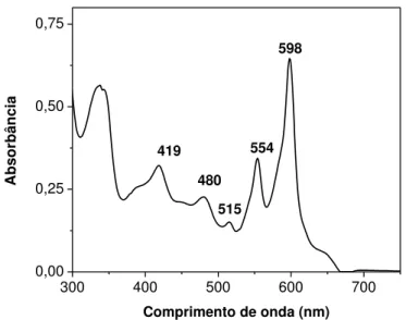 Figura 10: Espectro de absorção ótica da hipericina 1,5 µg mL -1  em DMSO. 