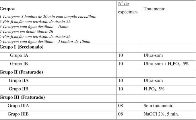 Tabela 3 –  Seqüência do processo de fixação e tratamento que cada grupo recebeu  Grupos 