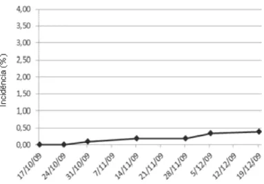 Figura 14 - Progresso da incidência (%) de ToCV no ensaio (CAMPO 1), conduzido em setembro  a dezembro de 2009, em Sumaré-SP