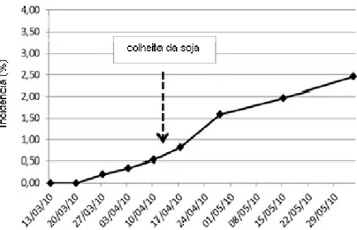 Figura 15 - Progresso da incidência (%) de ToCV no ensaio (CAMPO 1), conduzido em março a  maio de 2010, em Sumaré-SP