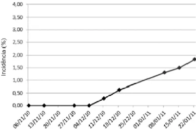 Figura  18  -  Progresso  da  incidência  (%)  de  ToCV  no  ensaio  (CAMPO  2),  conduzido  em  novembro a janeiro de 2011, em Sumaré-SP