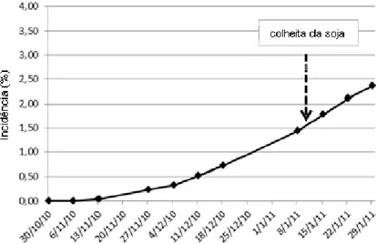 Figura 20 - Progresso da incidência (%) de ToCV no ensaio (CAMPO 4), conduzido em outubro a  janeiro de 2011, em Sumaré-SP