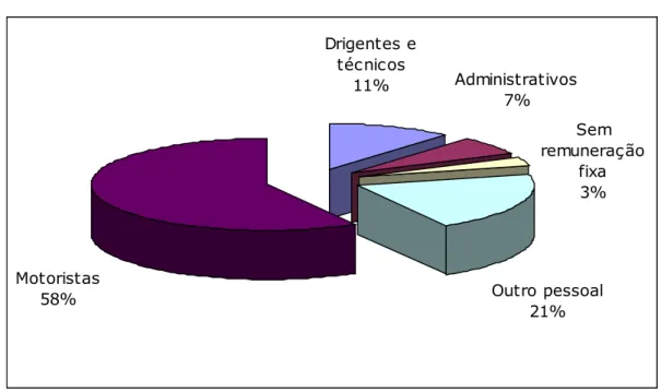 Figura 10 – Repartição de Pessoal por Natureza de Funções, 2001
