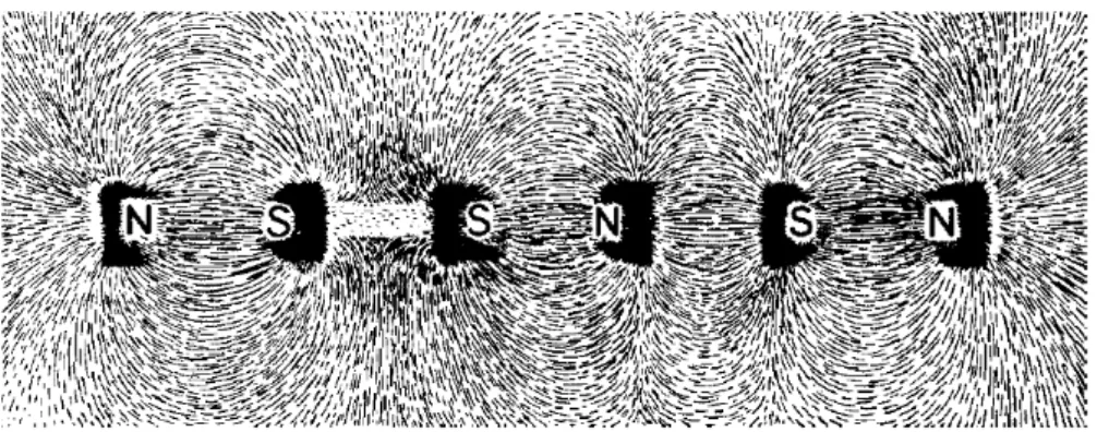Figura 2 Partículas de ferro usadas para indicar a presença do campo magnético 3