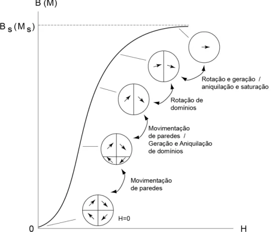 Figura 7 Configuração dos domínios durante várias etapas da magnetização 