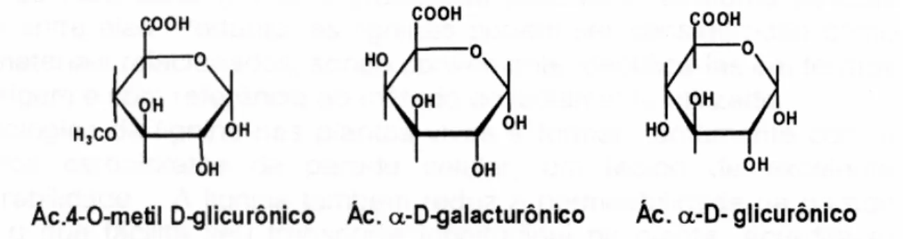 Figura 8 - Principais estruturas de ácidos carboxílicos que ocorrem nos polissacarídeos  da madeira 