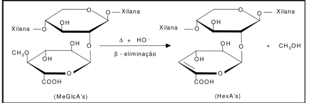 Figura  9  -  Formação  dos  AHex’s  a  partir  dos  ácidos  4-O-metil-glicurônicos,  via  β - -eliminação da metoxila durante a polpação Kraft