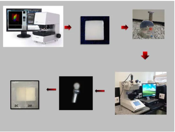 Figura 2. Representação esquemática da metodologia utilizada na seleção do espécime   por   meio de microscopia confocal a laser e microdureza
