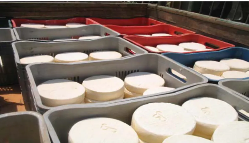 Figura 6. Foto ilustrativa das condições de transporte do queijo Minas artesanal  produzido na região da Serra da Canastra (MG)
