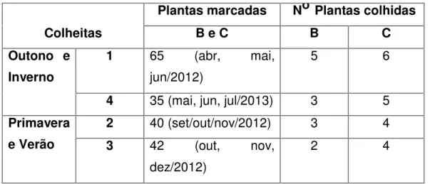 Tabela 2: Relação de plantas marcadas e colhidas nas áreas B e C.