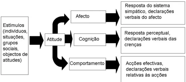 Figura 7 – O modelo Tridimensional da Atitude 