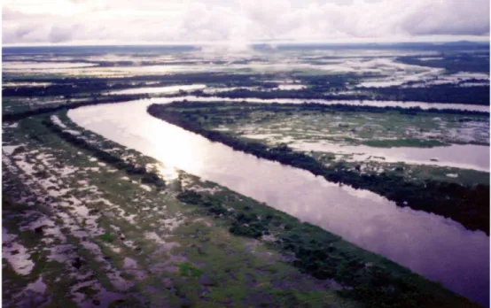 Figura 4 –  Vista aérea de trecho do rio Paraguai em direção norte, rumo à baía  do Castelo (Pantanal – MS), durante a cheia de 1995, considerada a terceira maior  cheia do século pela régua de Ladário