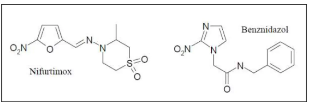 Figura 1.2: Representação estrutural dos compostos Nifurtimox e Benznidazol. 