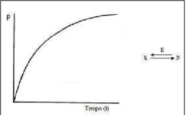Figura 1.4: Conversão do substrato S em produto P ao longo do tempo. 