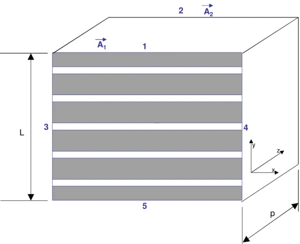 Figura 4.6 – Configuração para análise com condição de contorno de Dirichlet não-homogênea 