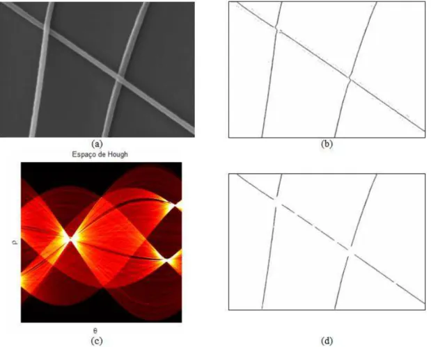 Figura 3.8: Processamento da transformada de Hough nas imagens de nanofibras: (a) imagem original (b) esqueletoniza¸c˜ao da imagem (c) espa¸co de parˆametros da