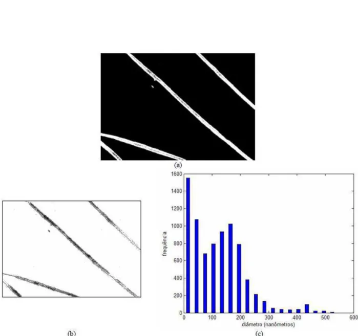 Figura 5.7: Imagem processada pelo algoritmo de Otsu: (a) imagem segmentada (b) imagem esqueleto e (c) seu respectivo histograma.