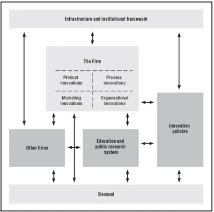 Figura 1 – Modelo conceptual da inovação - OCDE  Fonte: Manual de Oslo (2005) 