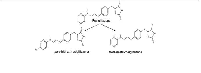 Figura 1. RSG e seus principais metabólitos (N-Dm-R e ρ-OH-R). 