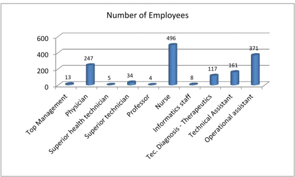 Figure 7 Distribution of Staff by Professional Groups on 31 December 2010 