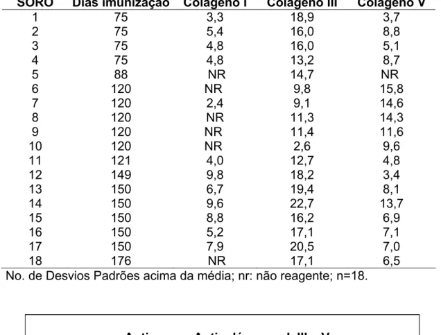 GRÁFICO 2: Pesquisa de anticorpos antiCols I, III e V em soros de coelhos  imunizados com Col V humano LIM-17