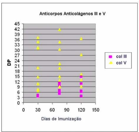 GRÁFICO 3: Pesquisa de anticorpos antiCols III e V em soros de coelhos  imunizados com colágeno V humano do protocolo experimental atual; DP: 