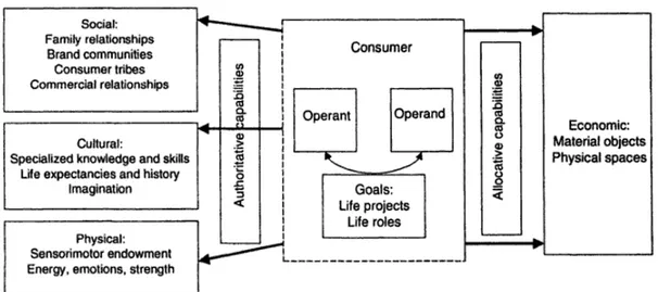 Figure 8 – Consumer’s operand and operant resources 