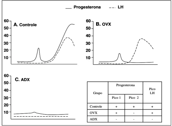 Figura 8: Representação esquemática demonstrando a correlação entre a secreção de progesterona  (linas  contínuas)  e  a  ocorrência  do  pico  pré-ovulatório  de  LH  (linhas  pontilhadas)  durante  o  dia  do  proestro  de  ratas  submetidas  apenas  à  