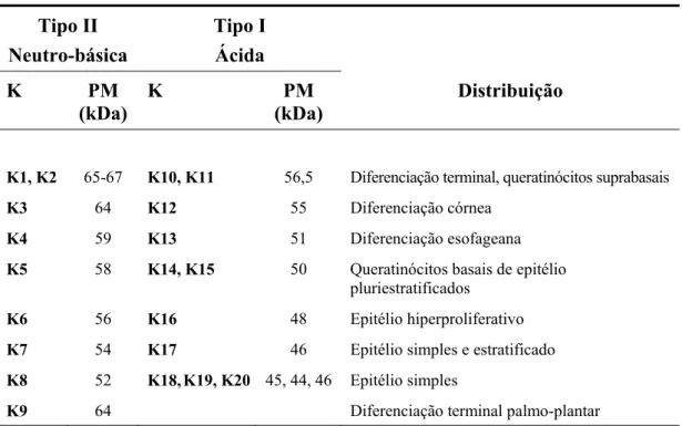 Tabela 1 - Distribuição dos pares de citoqueratinas nos diferentes epitélios  (Cooper et al., 1985; Smack et al., 1994) 