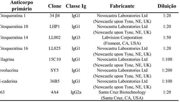 Tabela 4 - Anticorpos primários e seus respectivos clones, classes de  imunoglobulina, laboratório fabricante e diluição utilizados no presente estudo 