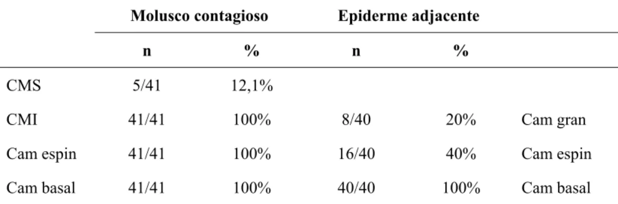 Tabela 7 - Padrão de expressão de citoqueratina 14 nas diferentes camadas  epidérmicas das lesões de MC e epiderme adjacente 