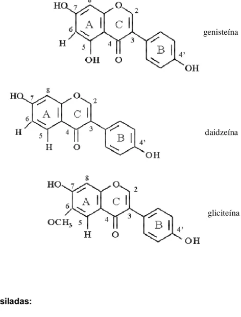 Figura 2. Estrutura química das isoflavonas da soja.  