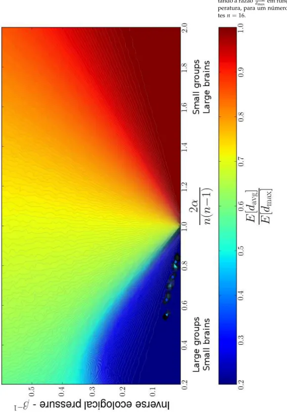 Figura 3.6 – Diagrama de fases apresen- apresen-tando a razão d d maxavg em função de α e  tem-peratura, para um número fixo de  agen-tes n = 16.