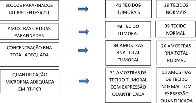 Figura 8 - Casos bem-sucedidos da extração de RNA total à quantificação de miRNA. 