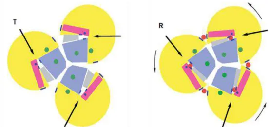 Figura 3.3 - Representação da movimentação alostérica sugerida pela sobreposição dos estados cristalográficos