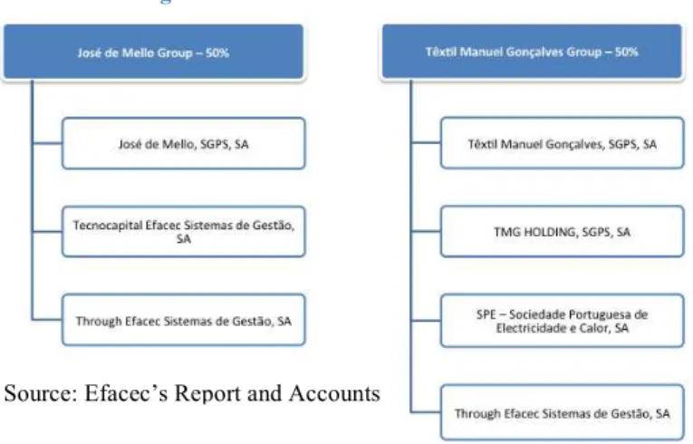 Figure 11 – Shareholder Structure  