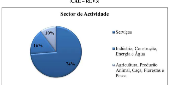 Figura I - Mulheres Empregadas por Sector de Actividade Principal - 2010   (CAE – REV3) 