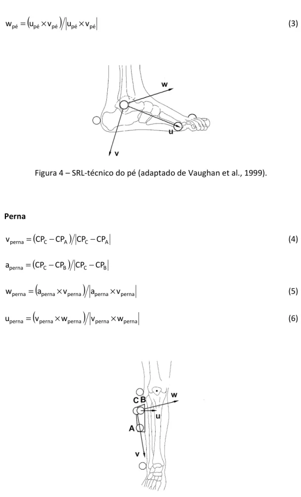 Figura 4 – SRL-técnico do pé (adaptado de Vaughan et al., 1999). 
