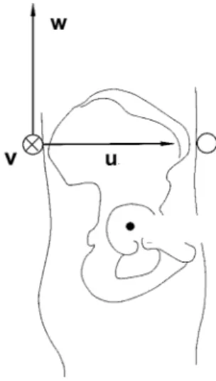 Figura 7 – SRL-técnico da pelve (adaptado de Vaughan et al., 1999). 