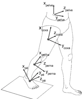 Figura 9 – Sistema de referência local anatômico (SRL-a) (adaptado de Vaughan  et al., 1999)