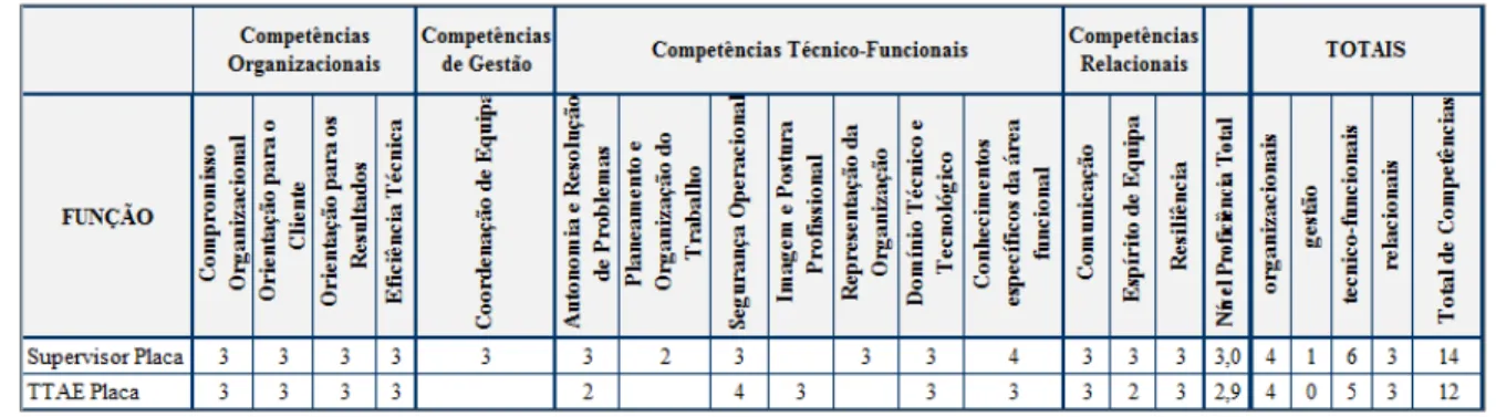 Fig. 7 – Matriz Relacional de Funções e Competências 