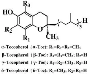 Figura 2.2 – Estrutura dos isômeros de tocoferol  Fonte: Kadoma et al. (2006) 