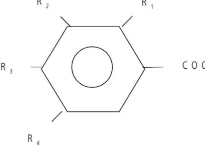Figura 2.4 – Estrutura geral dos ácidos fenólicos  Fonte: Soares (2002) 
