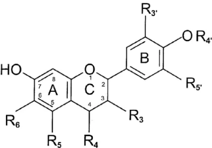 Figura 2.5 – Estrutura geral dos flavonóides  Fonte: Beecher (2003) 