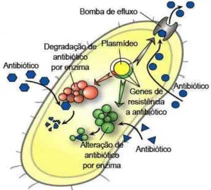 Figura 4. Mecanismos de resistência do antibiótico. 
