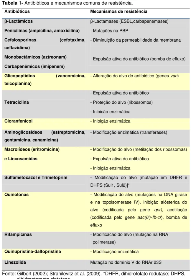 Tabela 1- Antibióticos e mecanismos comuns de resistência. 
