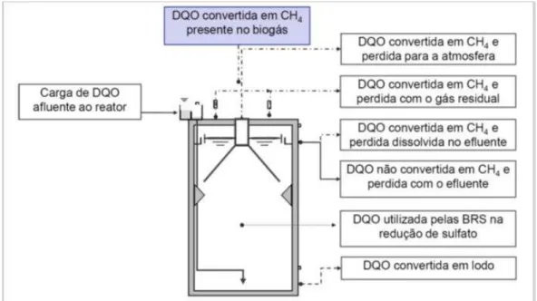 Figura 2. Rotas de Conversão de DQO e Fluxos de Metano em Reatores UASB. 