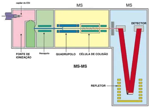 Figura 5 - Modelo do princípio de análise de um espectrômetro de massas Q-TOF com operação em  modo MS/MS 
